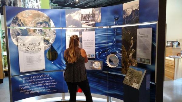 A woman looks at Water/Ways exhibit
